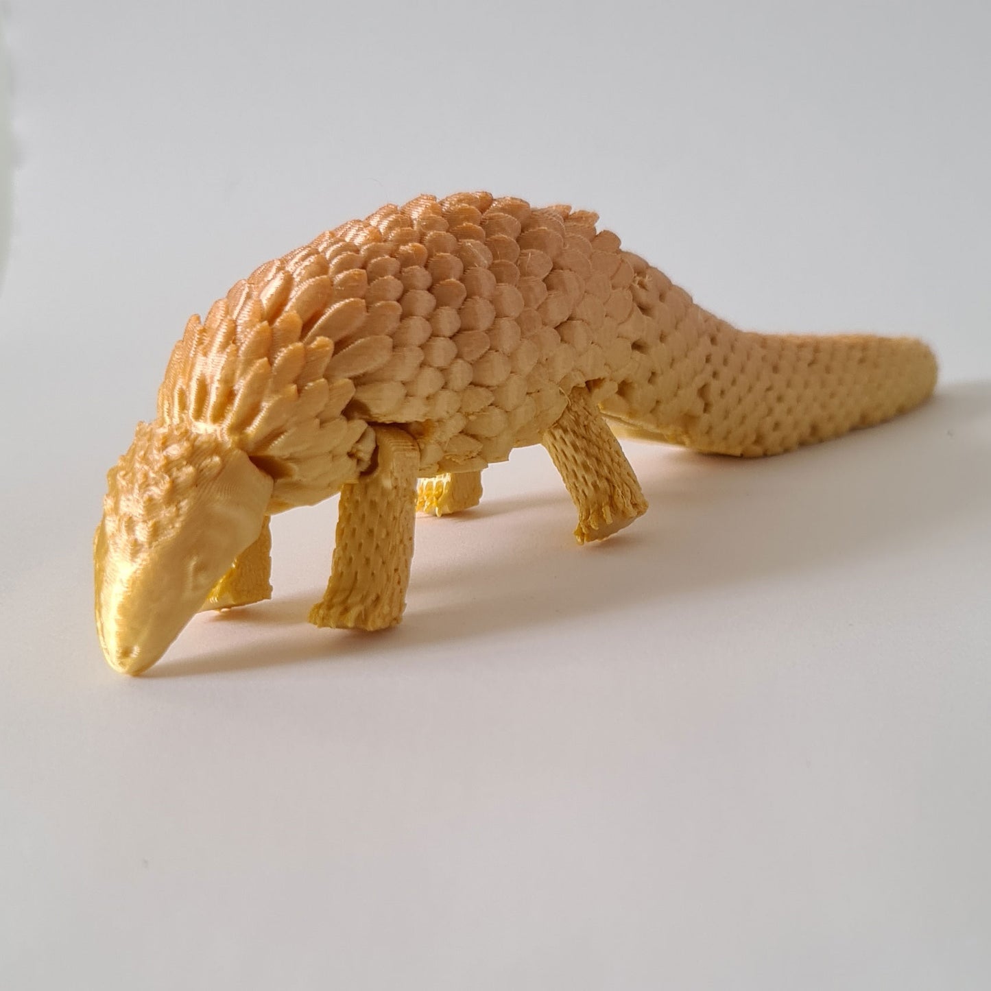 Pangolin